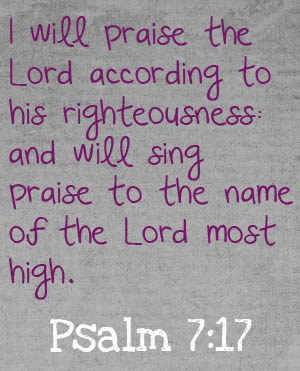 Psalm 7-17